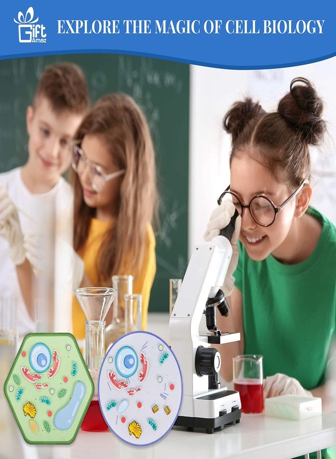GiftAmaz Animal and Plant Cell Anatomy Model, Soft Felt Toy, Early Cell Biology and Life Science STEM Toys, Classroom Teaching Aid, Educational Learning Activities STEM Birthday Toys for Kids 6+ - Image 3